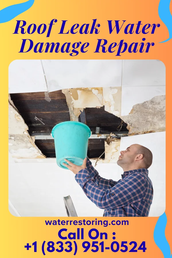 Roof Leak Water Damage Repair in Furman, SC