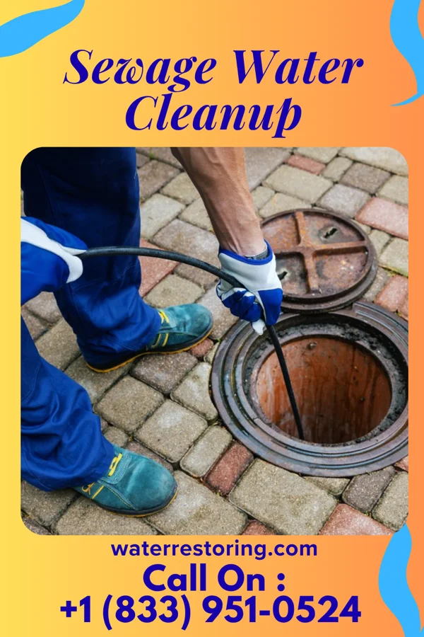 Sewage Water Cleanup in Furman, SC